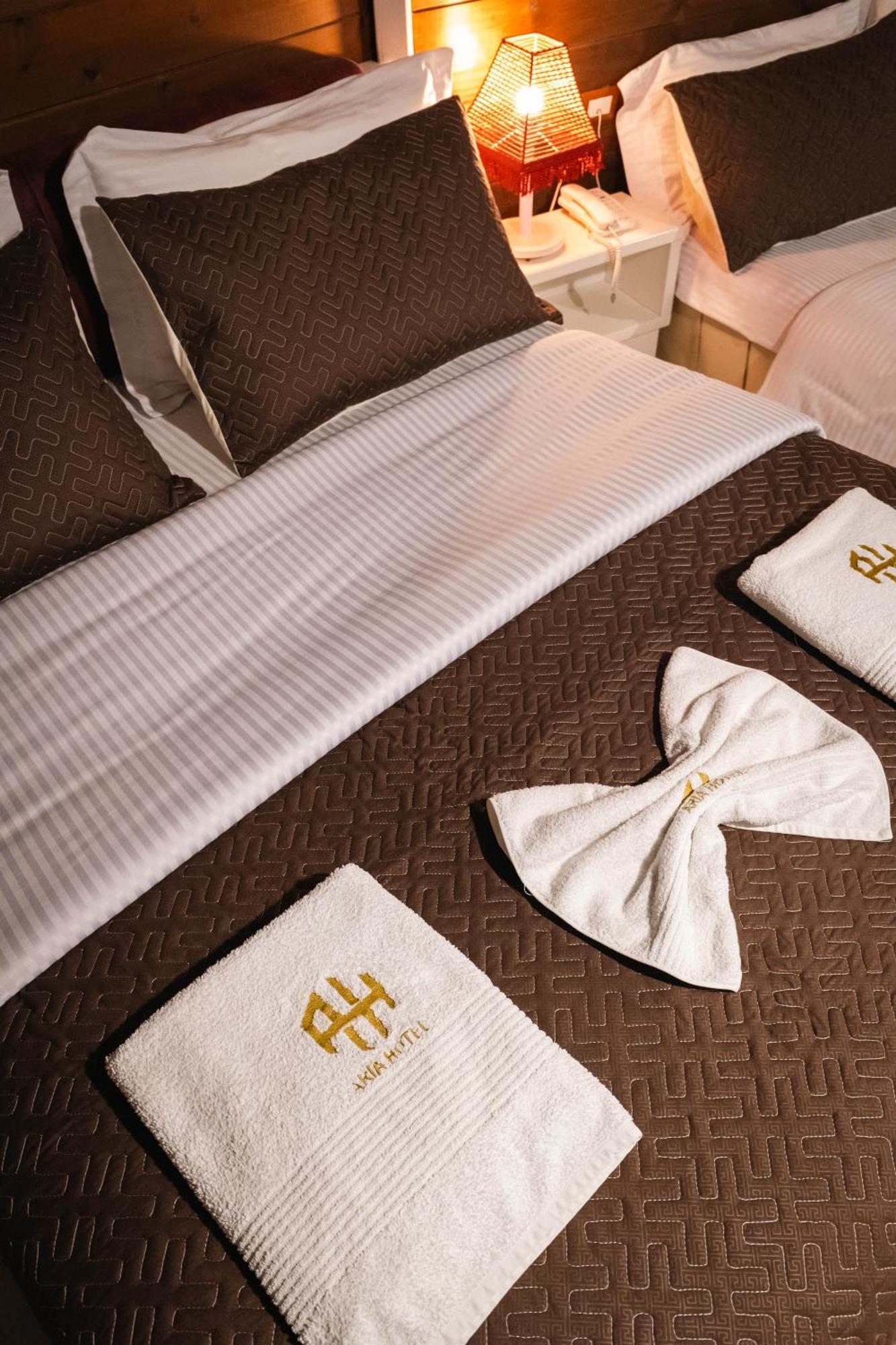 Hotel Aria ティラナ エクステリア 写真